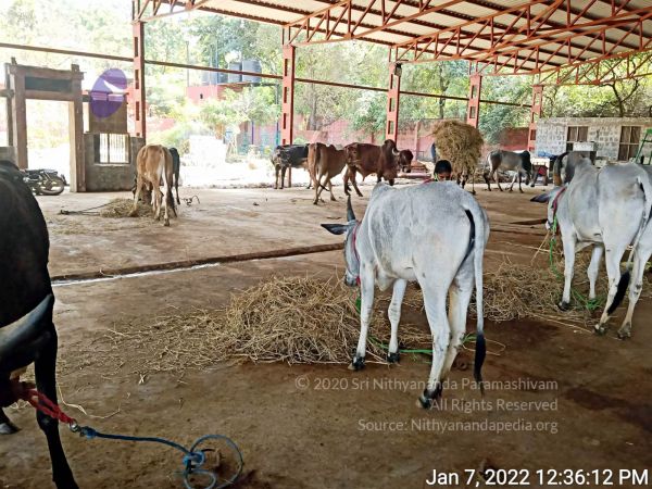 2022-01-08 at 3.49.29 PM (1) 11.jpg