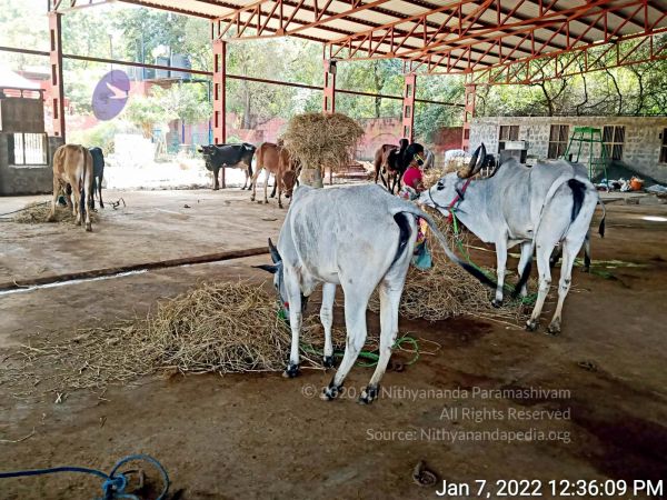 2022-01-08 at 3.49.29 PM 11.jpg