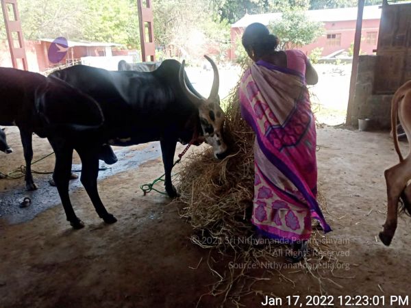 2022-01-17 at 12.24.21 PM (1) 11.jpg