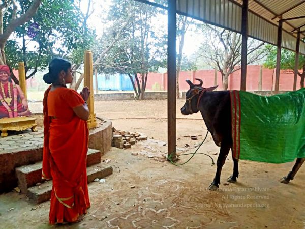 2022-01-23 at 5.58.16 PM 11.jpg