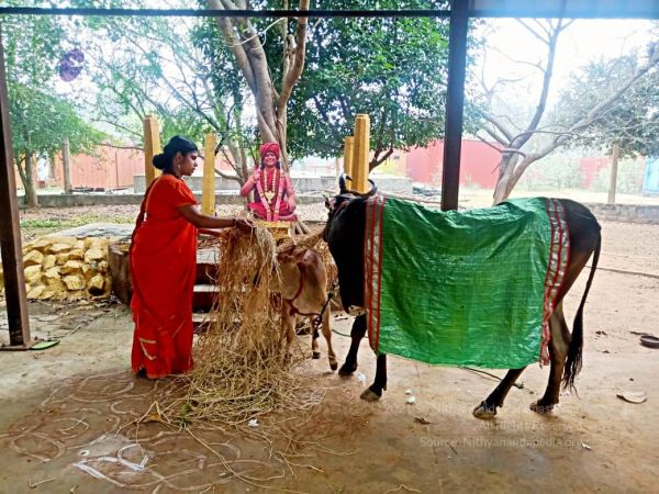 2022-01-23 at 5.58.22 PM 11.jpg