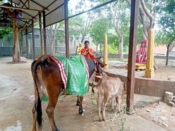 2022-01-23 at 5.58.56 PM 11.jpg