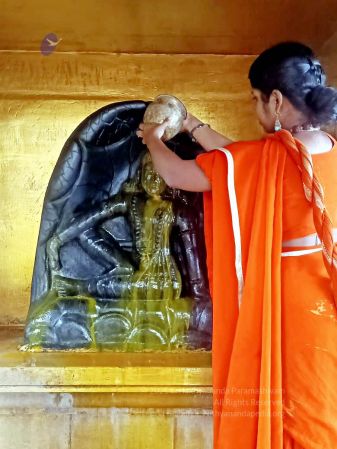 2022-01-23 at 5.59.36 PM 11.jpg