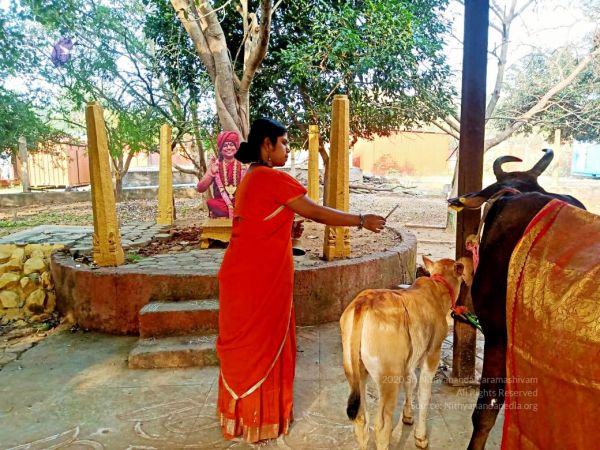 2022-01-24 at 9.35.40 PM (1) 11.jpg