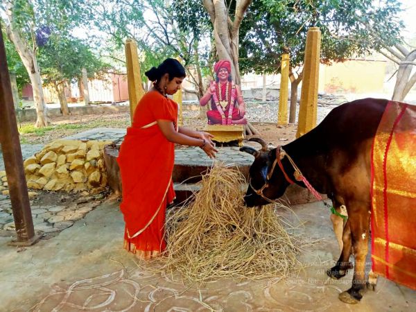 2022-01-24 at 9.35.43 PM 11.jpg