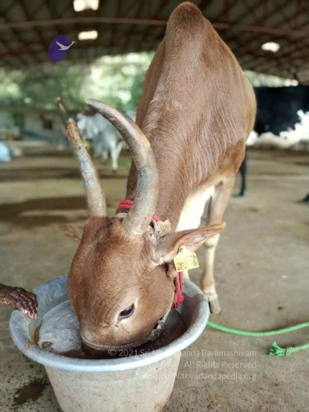 File:2022-02-01 at 3.59.59 PM (1).jpg