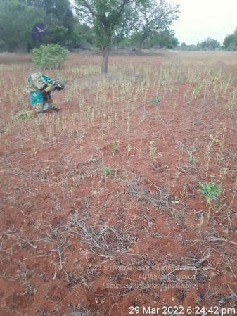 2022-03-29 at 8.37.29 PM (1).jpg