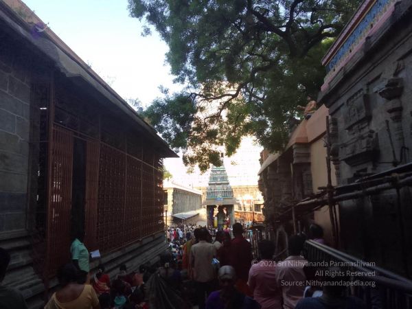 2022-04-29 at 12.34.49 PM.jpg