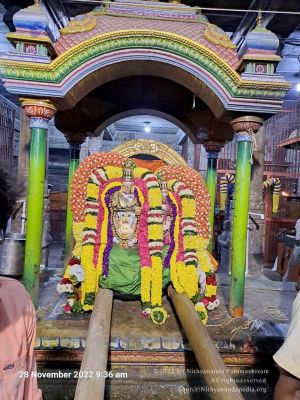 2022-11-28 at 11.08.41 AM (1).jpg