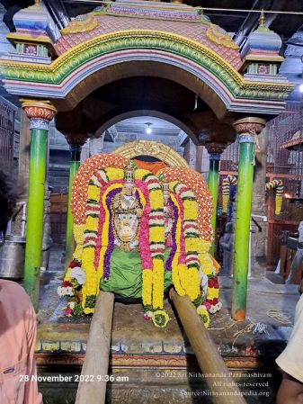 2022-11-28 at 11.08.41 AM (1).jpg