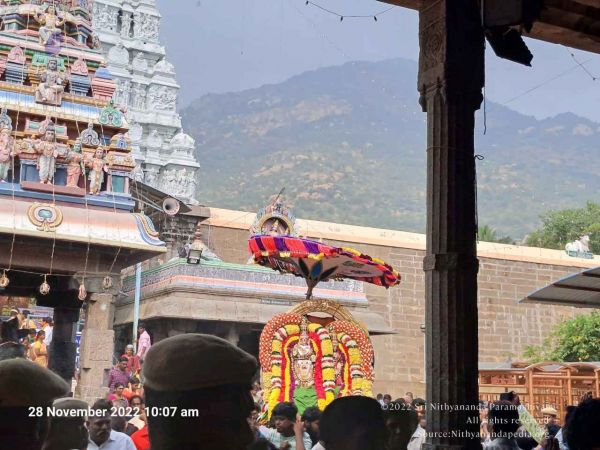 2022-11-28 at 11.14.17 AM (1).jpg