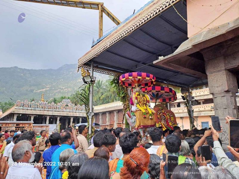 File:2022-11-28 at 11.14.22 AM (1).jpg