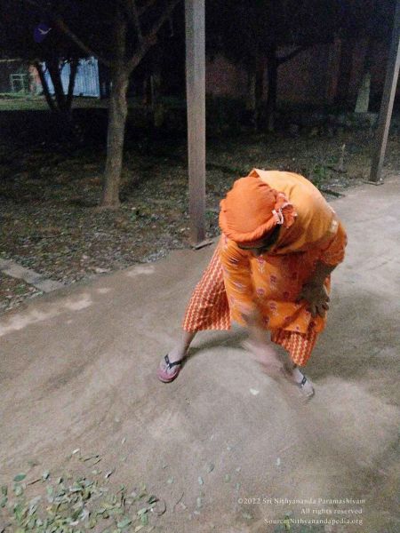 File:2022-11-29 at 5.21.01 PM.jpg