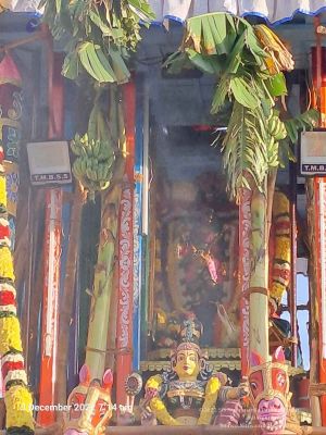 2022-12-03 at 9.58.17 AM (2).jpg