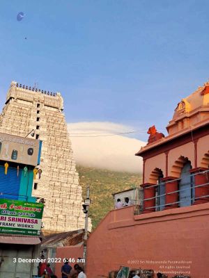 2022-12-03 at 9.59.17 AM (1).jpg