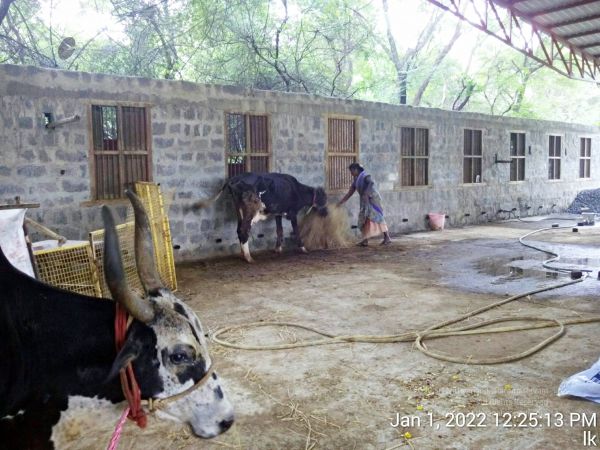 20220101 122513 11.jpg