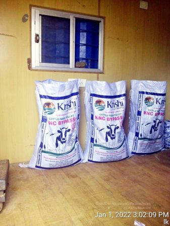 20220101 150209 11.jpg