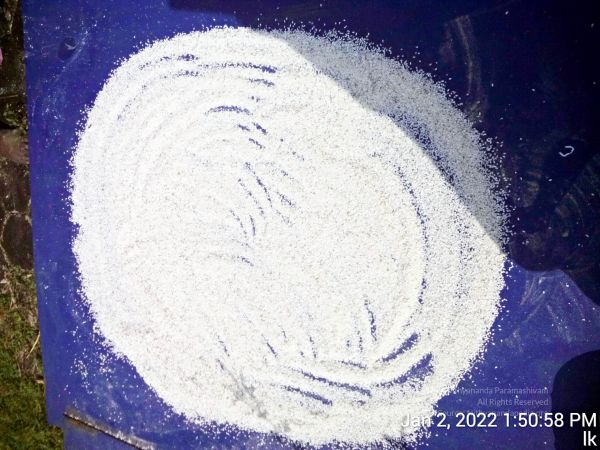 20220102 135058 11.jpg