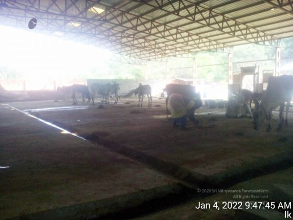 20220104 094745 11.jpg