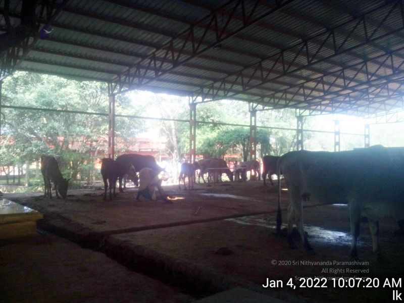 File:20220104 100720 11.jpg