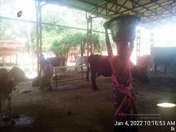 20220104 101653 11.jpg