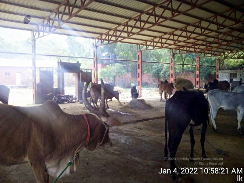 File:20220104 105821 11.jpg