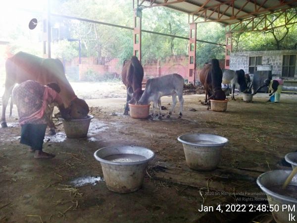 20220104 144850 11.jpg