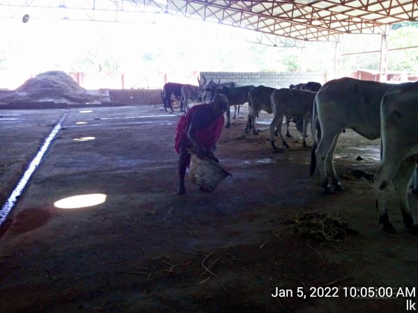 20220105 100500 11.jpg