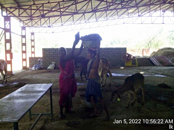 20220105 105622 11.jpg