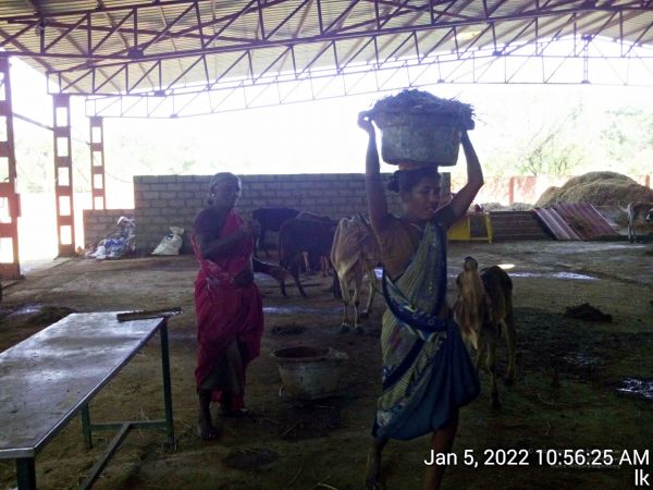 20220105 105625 11.jpg