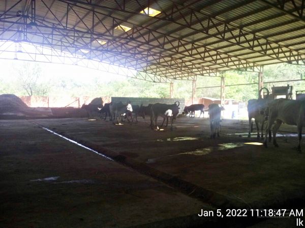 20220105 111847 11.jpg