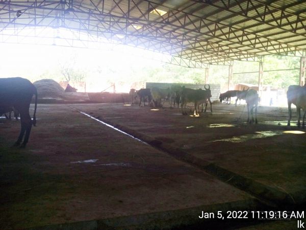 20220105 111916 11.jpg