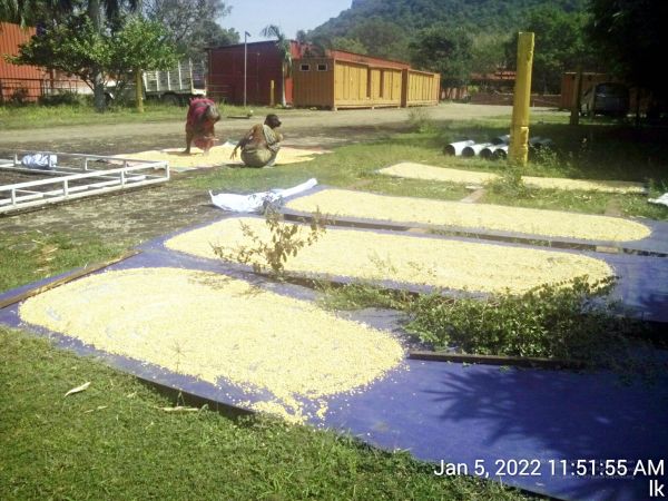 20220105 115155 11.jpg