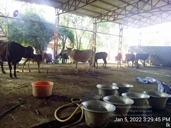 20220105 152945 11.jpg