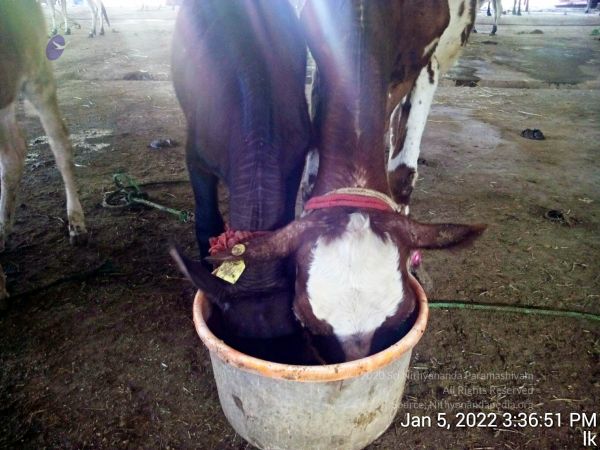 20220105 153652 11.jpg