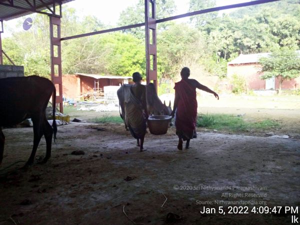 20220105 160947 11.jpg