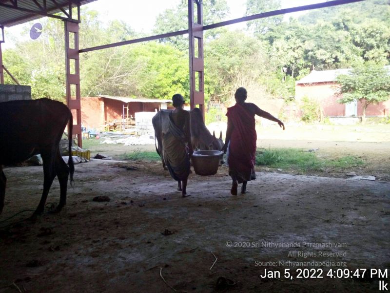 File:20220105 160947 11.jpg