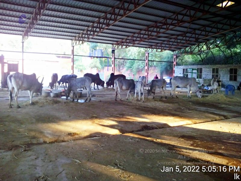 File:20220105 170516 11.jpg