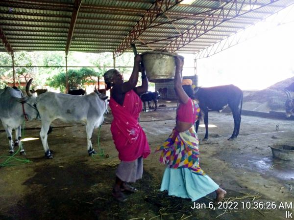 20220106 103626 11.jpg