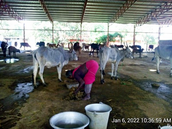 20220106 103700 11.jpg