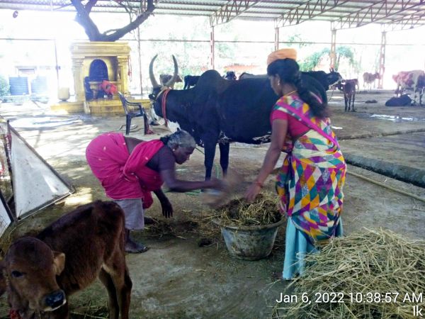 20220106 103857 11.jpg