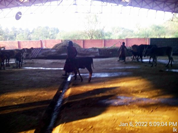 20220106 170904 11.jpg