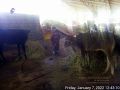 Thumbnail for version as of 10:27, 8 January 2022