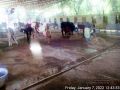 Thumbnail for version as of 10:27, 8 January 2022