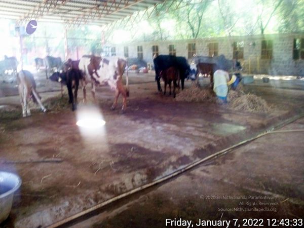 20220107 124332 11.jpg