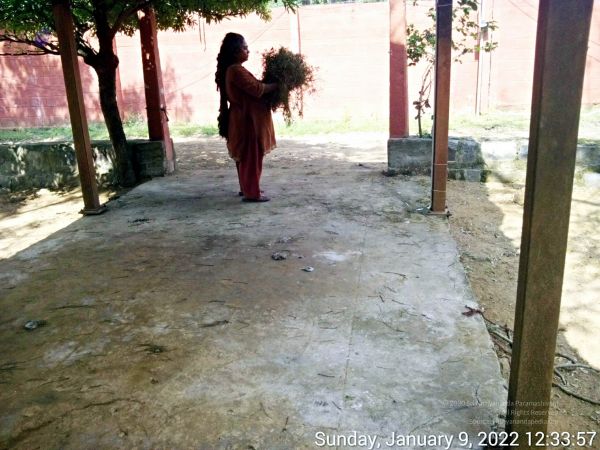 20220109 123356 11.jpg