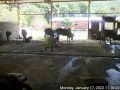 Thumbnail for version as of 10:59, 19 January 2022