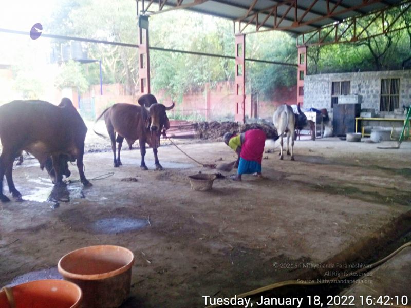File:20220118 164210 11.jpg
