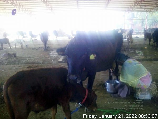 20220121 085307 11.jpg