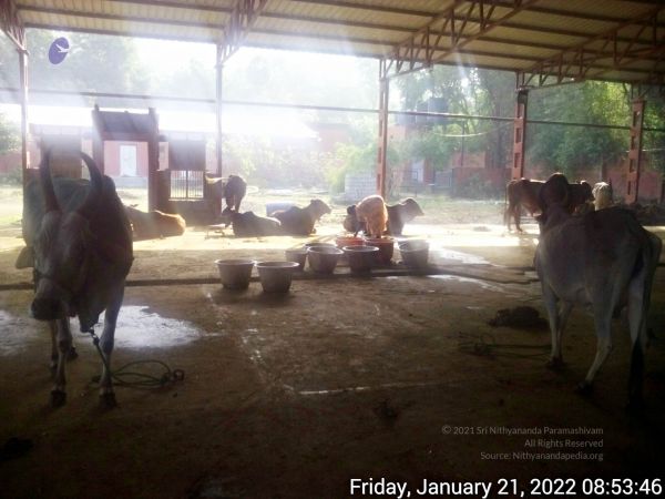 20220121 085345 11.jpg